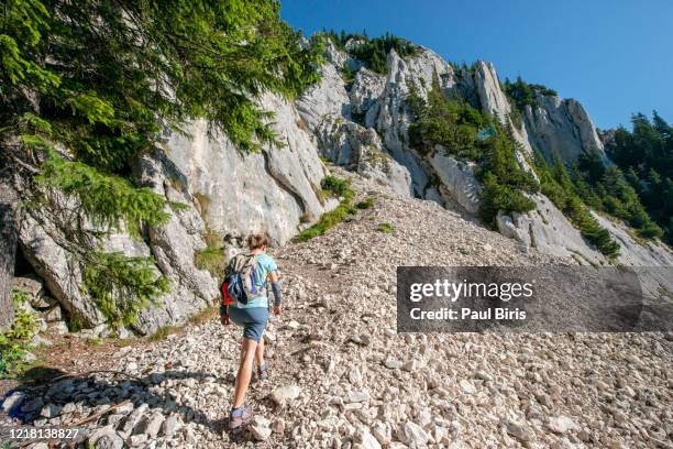 mountain scenery in the transylvanian alps (piatra craiului) in summer, with rocky limestone clifs - zarnesti stock pictures, royalty-free photos & images