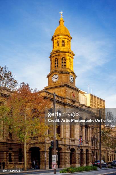 adelaide town hall, adelaide, south australia - adelaide stock pictures, royalty-free photos & images