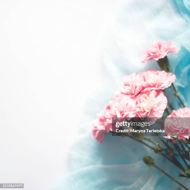 pink carnation flowers on a white background with a blue cloth. - flower arrangement carnation ストックフォトと画像