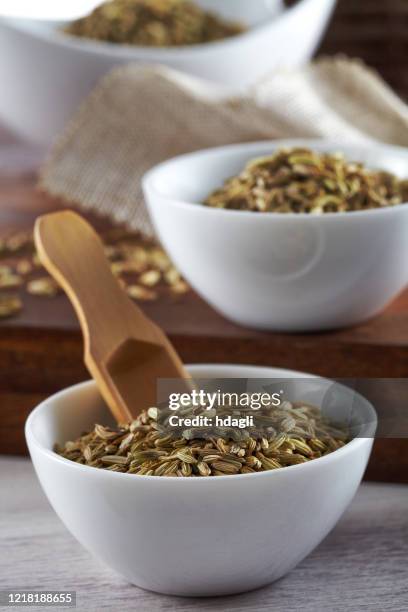 fennel - fennel seeds stock pictures, royalty-free photos & images