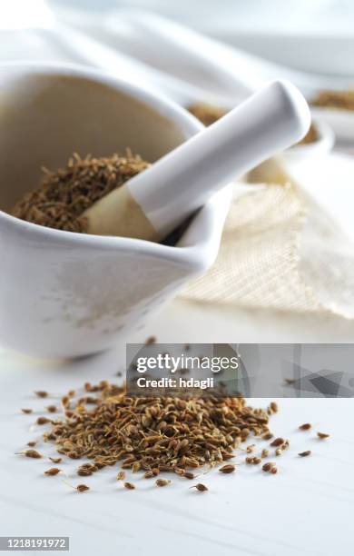 caraway / cumin - cumin stock pictures, royalty-free photos & images