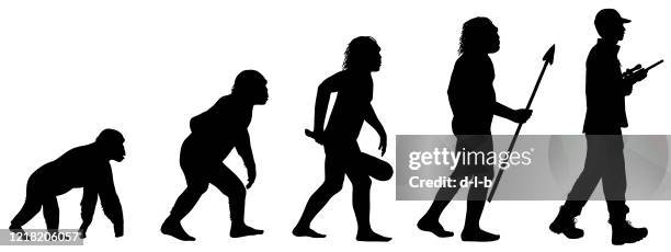 evolution of the human hunter - early homo sapiens stock illustrations