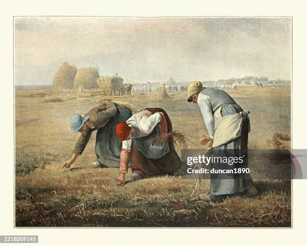 the gleaners by jean-francois millet, peasant women gleaning farmers field - french landscape stock illustrations