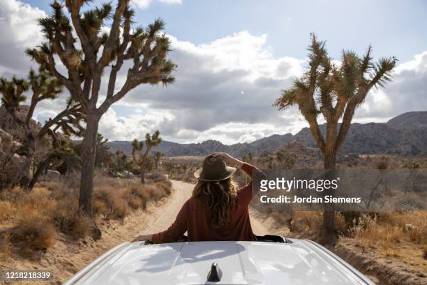 a woman out the sunroof of her car taking in the beautiful scene in joshua tree. - arbre de josué photos et images de collection