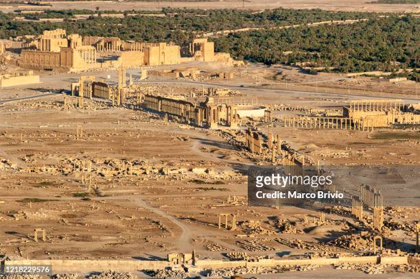 palmyra syria. the archaeological site - palmyra syria stock pictures, royalty-free photos & images
