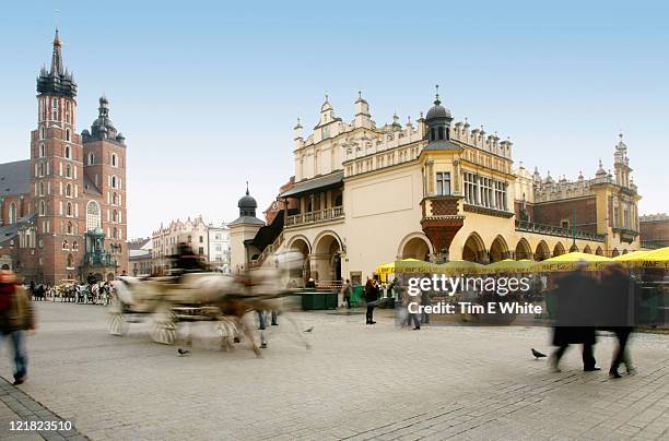 horse and carriage, rynek glowny, krakow, poland - cracovia fotografías e imágenes de stock