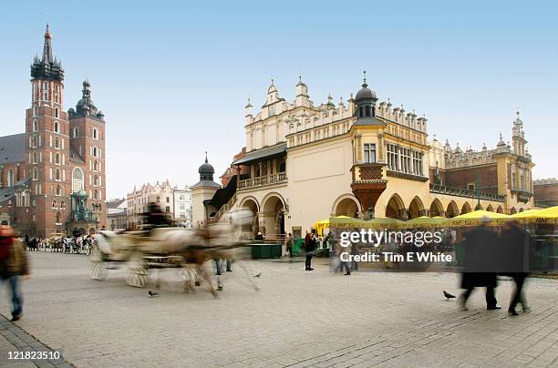 horse and carriage, rynek glowny, krakow, poland - krakow stock pictures, royalty-free photos & images