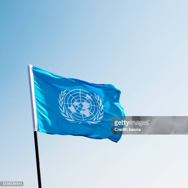 drapeau des nations unies agitant dans le vent - drapeau des nations unies photos et images de collection