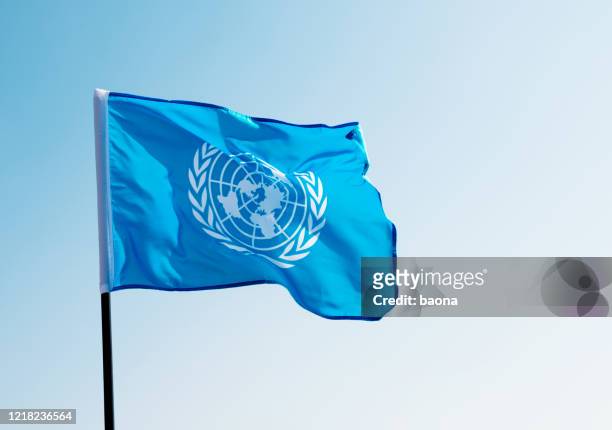 drapeau des nations unies agitant dans le vent - drapeau des nations unies photos et images de collection