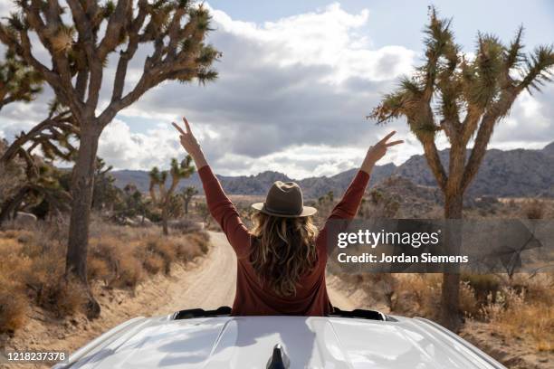 a woman out the sunroof of her car taking in the beautiful scene in joshua tree. - palm springs california imagens e fotografias de stock
