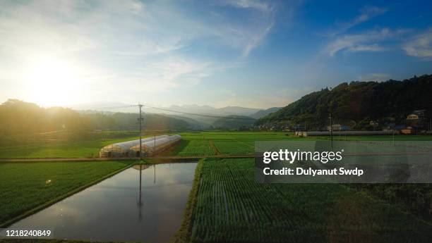 countryside landscape at kyushu ,japan - satoyama scenery stock-fotos und bilder