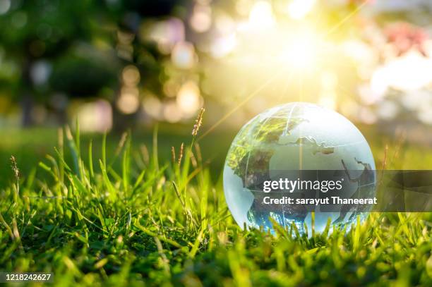 concept save the world save environment the world is in the grass of the green bokeh background - earth day globe stock pictures, royalty-free photos & images