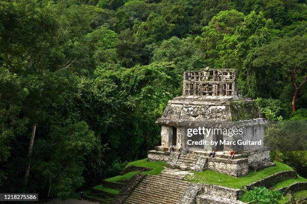 small mayan ruin amidst a dense jungle canopy, palenque, mexico - mayan ruin stock pictures, royalty-free photos & images