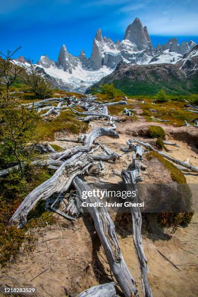 vista del monte fitz roy o cerro chaltén y troncos de árboles añejos. santa cruz, patagonia, argentina. - troncos stock pictures, royalty-free photos & images