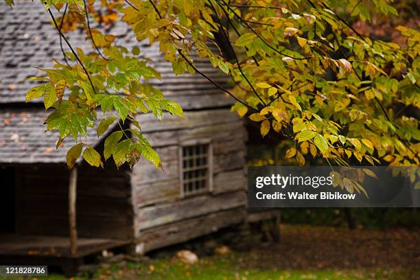 historic bud ogle farm, great smoky mountains ntional park, gatlinburg, tennessee, usa - tennessee farm stock pictures, royalty-free photos & images