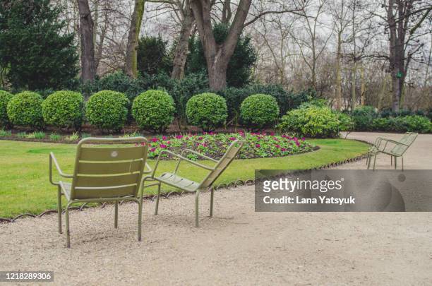 chairs, jardin du luxembourg, paris - リュクサンブール公園 ストックフォトと画像