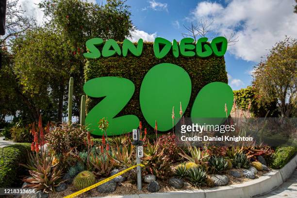 593 San Diego Wild Animal Park Photos and Premium High Res Pictures - Getty  Images