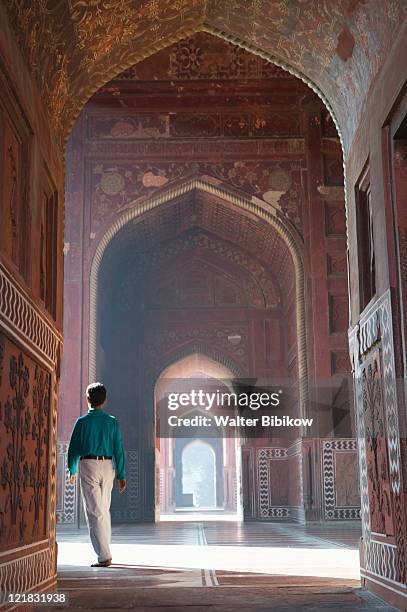 india, uttar pradesh-agra - india palace stock pictures, royalty-free photos & images