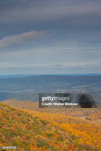 autumn landscape from spruce knob, spruce knob-seneca rocks national recreation area, seneca rocks, west virginia, usa - spruce knob mountain stock pictures, royalty-free photos & images