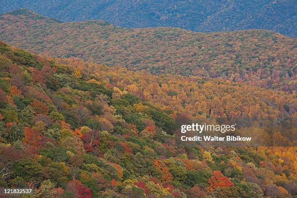 autumn landscape from spruce knob, spruce knob-seneca rocks national recreation area, seneca rocks, west virginia, usa - spruce knob mountain stock pictures, royalty-free photos & images