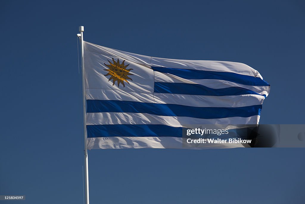 Uruguayan flag, Punta Ballena, Uruguay, February 2009 