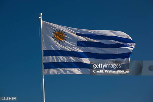 uruguayan flag, punta ballena, uruguay, february 2009  - uruguay stock pictures, royalty-free photos & images