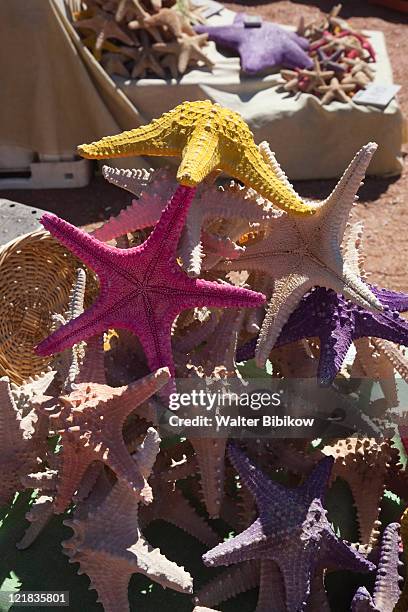 starfish souvenirs, punta del este, uruguay, february 2009  - punta del este - fotografias e filmes do acervo