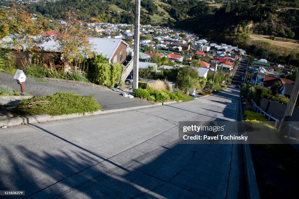 Baldwin Street, the steepest street in the world, Dunedin, New Zealand.