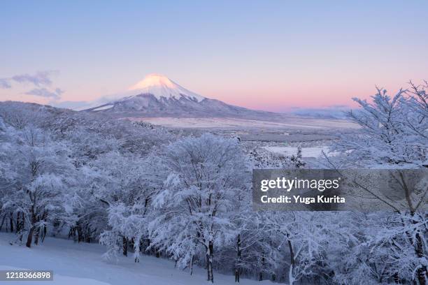 mt. fuji from oshino in winter - honshu stock pictures, royalty-free photos & images