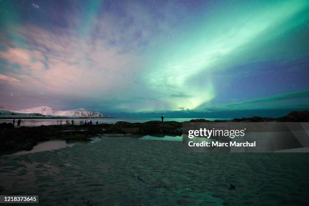 aurora borealis over skagsanden - nordland county photos et images de collection