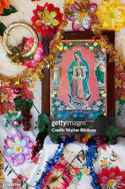 barra de potosi, detail of small virgin of guadalupe shrine, mexico - shrine stock pictures, royalty-free photos & images