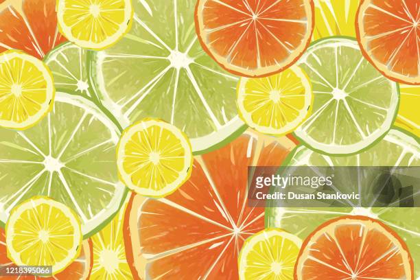 stockillustraties, clipart, cartoons en iconen met citrusvruchtenachtergrond - citroenen, sinaasappelen en limoenenvoorraadillustratie - citrusvrucht