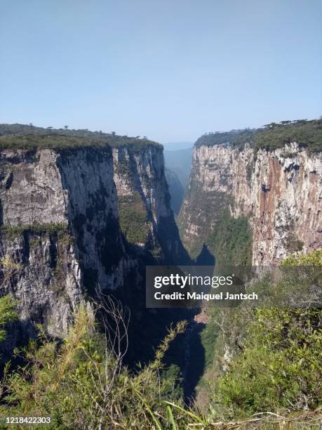 itaimbezinho canyon, located in aparados da serra national park in cambará do sul, rio grande do sul, brazil. - santa catarina sul do brasil stock-fotos und bilder