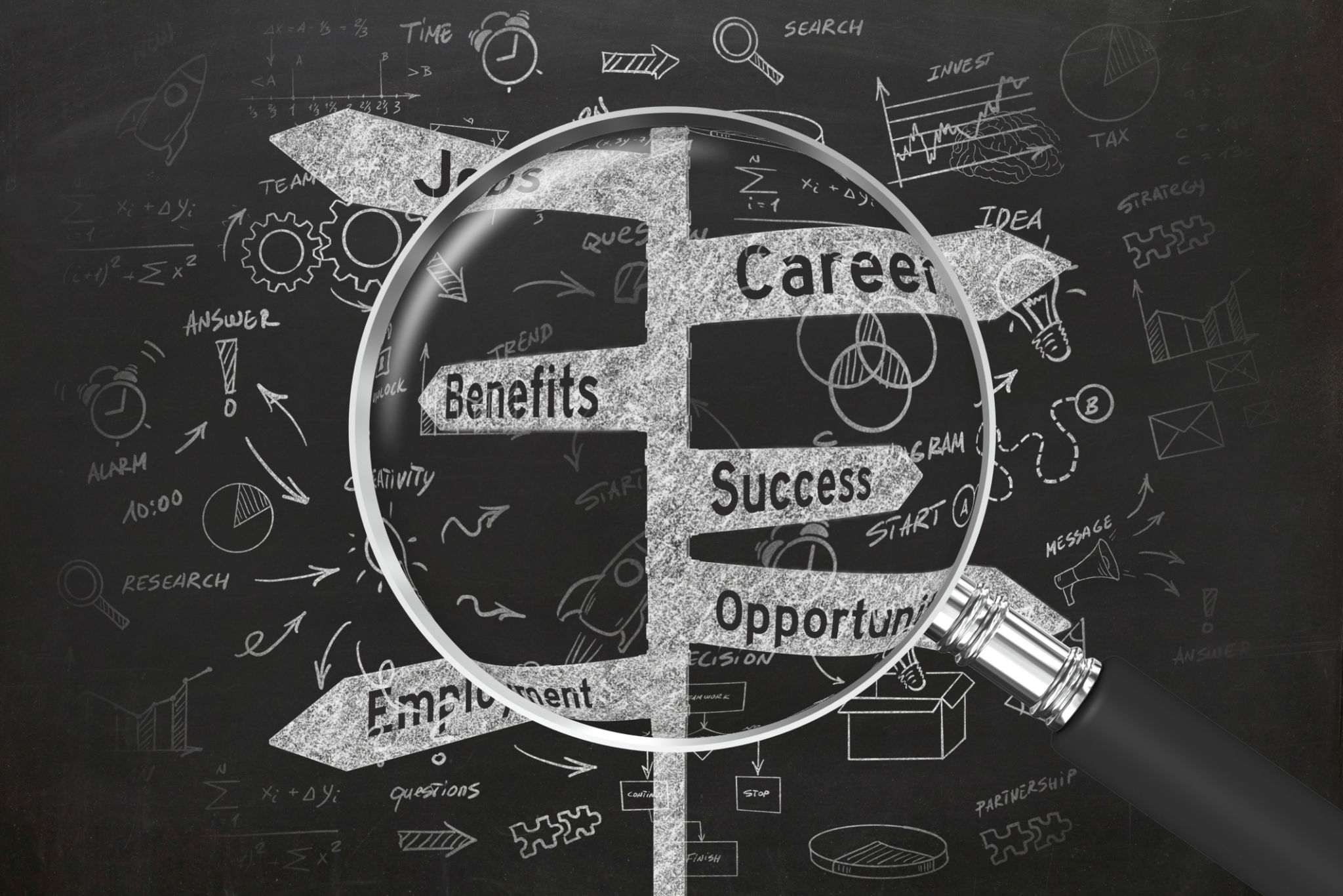 Job search career choice opportunity Job search career choice opportunity