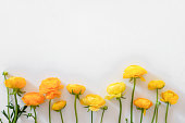 Minimalistic composition with beautiful bouquet of springtime flovers.