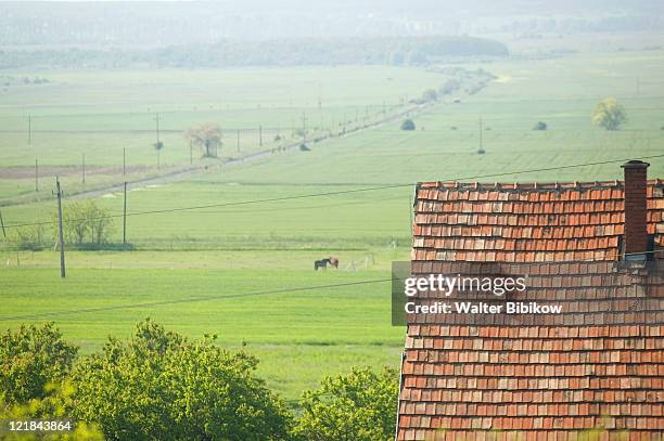 hungary, lake balaton region, szentbekkalla - hungary countryside stock pictures, royalty-free photos & images