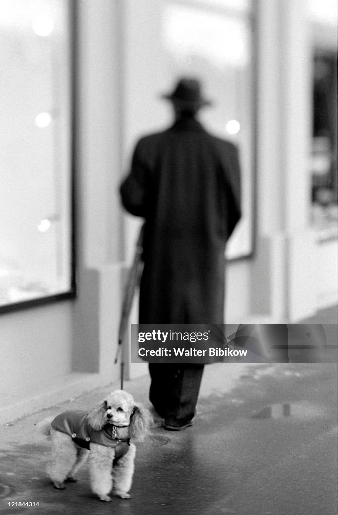 Man w/ Poodle, Lucerne, Switzerland