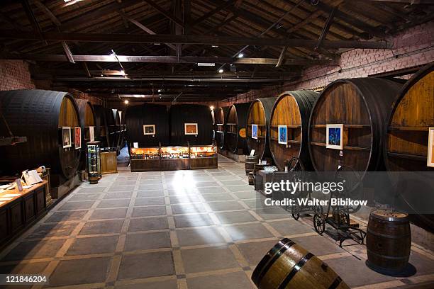 wine casks, bodega la rural winery, maipu, mendoza province, argentina - maipu mendoza stock pictures, royalty-free photos & images