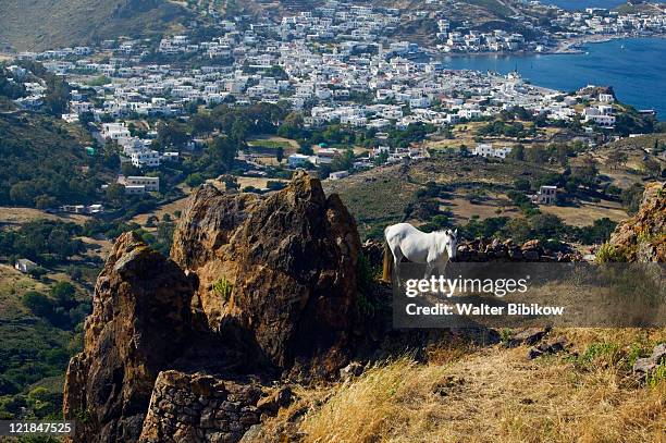 dodecanese islands-patmos-hora: horse on hilly pasture above skala, greece - skala greece fotografías e imágenes de stock