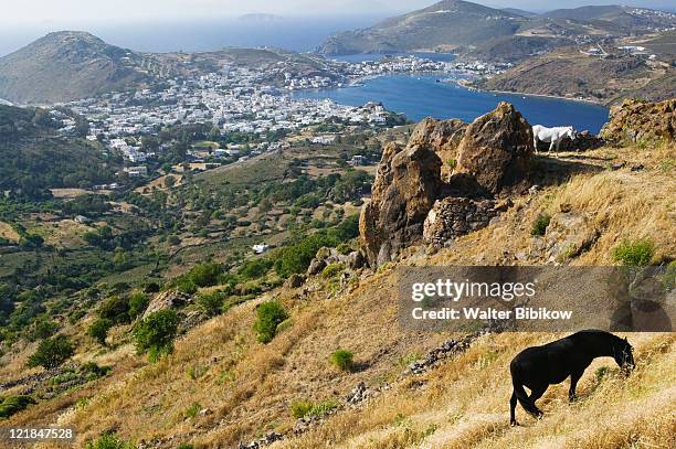 dodecanese islands-patmos-hora: horse on hilly pasture above skala, greece - skala greece stock-fotos und bilder