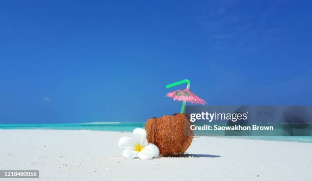 opened coconut drink with umbrella straw and white flowers on soft sand beach in front of turquoise color sea and clear sky background - beach umbrella isolated stock-fotos und bilder