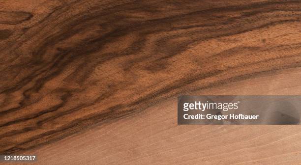 walnut tree veneer texture - walnut stock pictures, royalty-free photos & images
