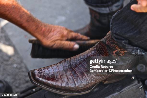 shoe polish - shoe polish stock pictures, royalty-free photos & images