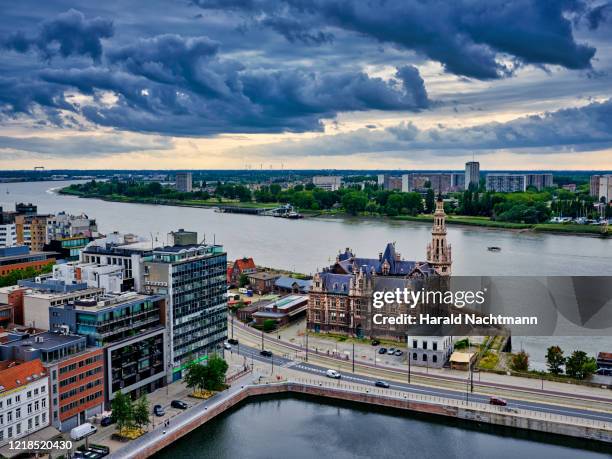 aerial view along scheldt river, antwerp, flemish region, belgium - antwerpen belgien bildbanksfoton och bilder
