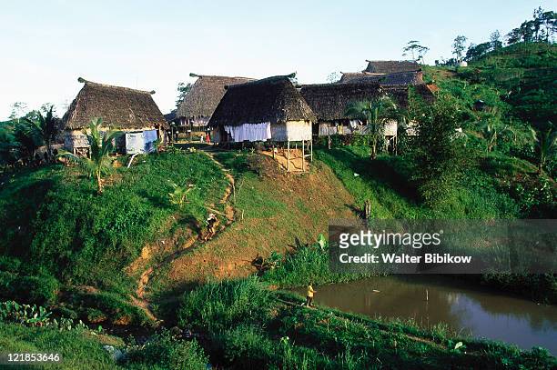 bure houses, vacoco village, viti levu - fiji hut stock pictures, royalty-free photos & images