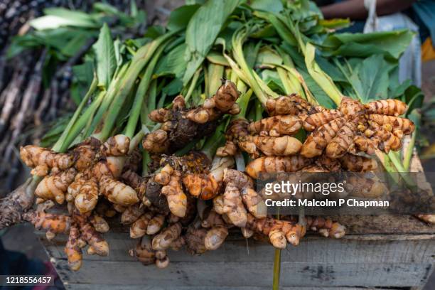 turmeric (curcuma) root for sale in a market, pondicherry, india - açafrão da índia imagens e fotografias de stock