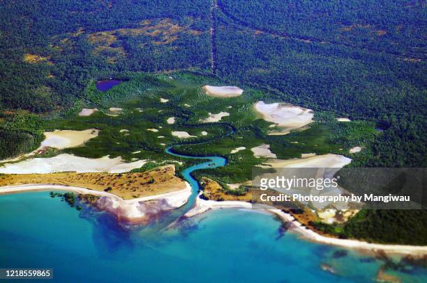 darwin mangrove habitat and salt flats, northern territory - ayer's rock stockfoto's en -beelden