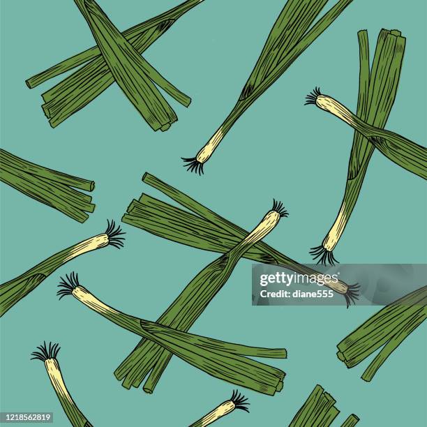 hand drawn scallions seamless pattern - spring onion stock illustrations