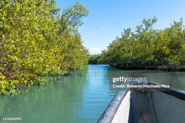 fishermen boat in river zaza, tunas de zaza, cuba - zaza stock pictures, royalty-free photos & images