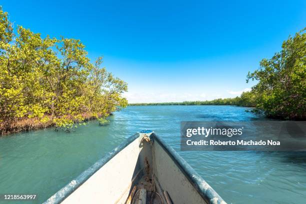 fishermen boat in the zaza river, tunas de zaza, cuba - zaza stock pictures, royalty-free photos & images